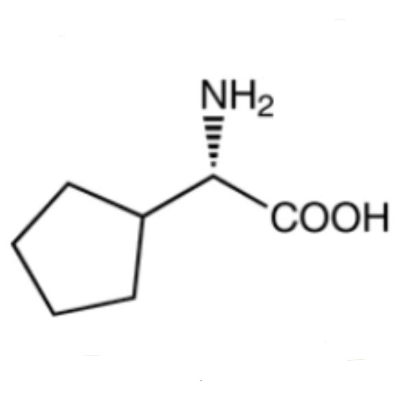 L-Cyclopentylglycine CAS 2521-84-8 (H-L-Cpg-OH) Purity >98.0% (HPLC)